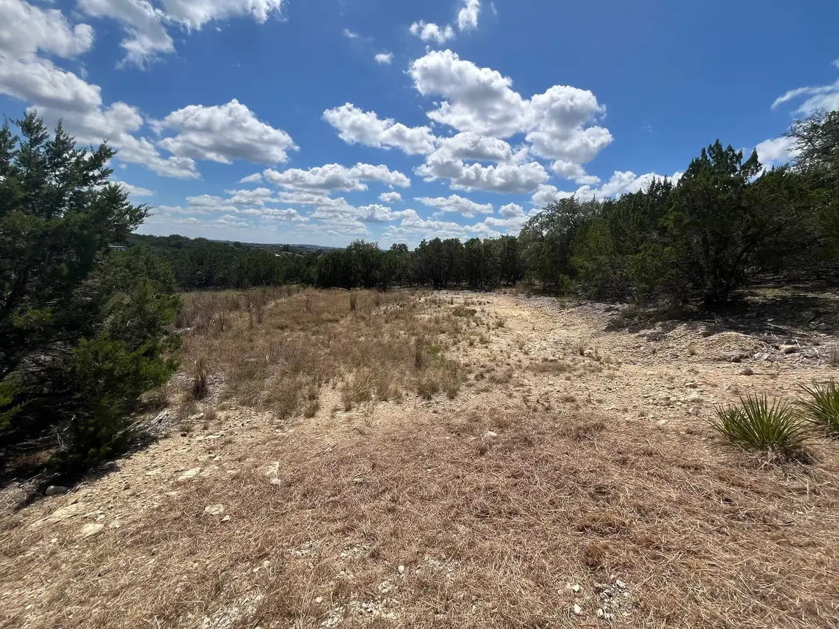 20705 Hayes Cv, Lago Vista, TX 78645 - Image #1