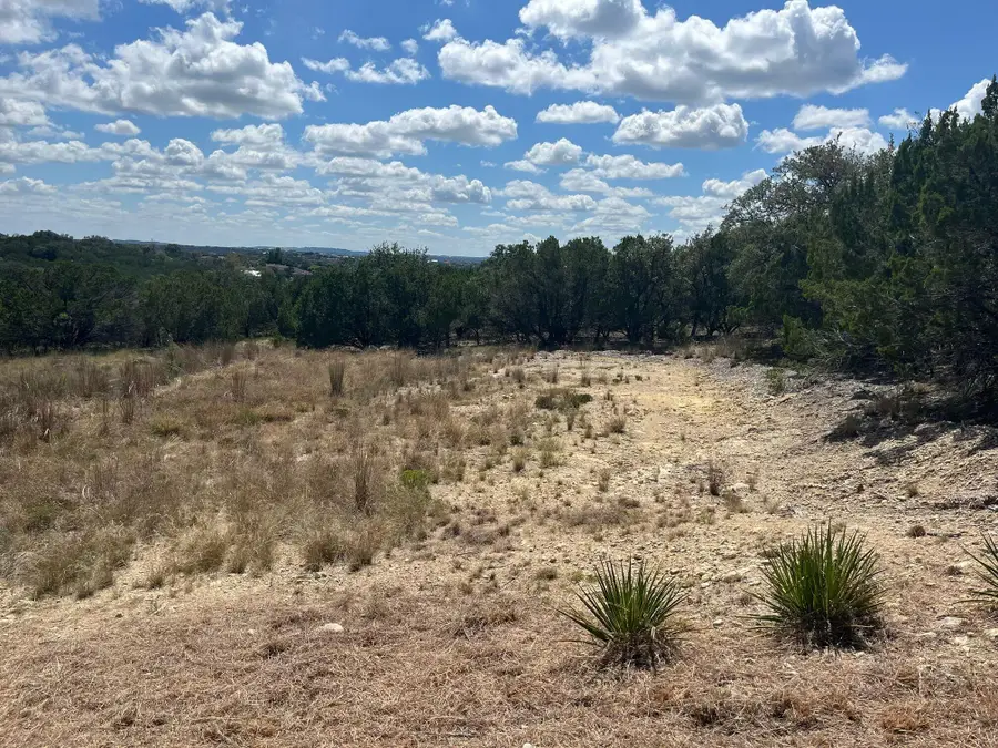 20705 Hayes Cv, Lago Vista, TX 78645 - Image #2