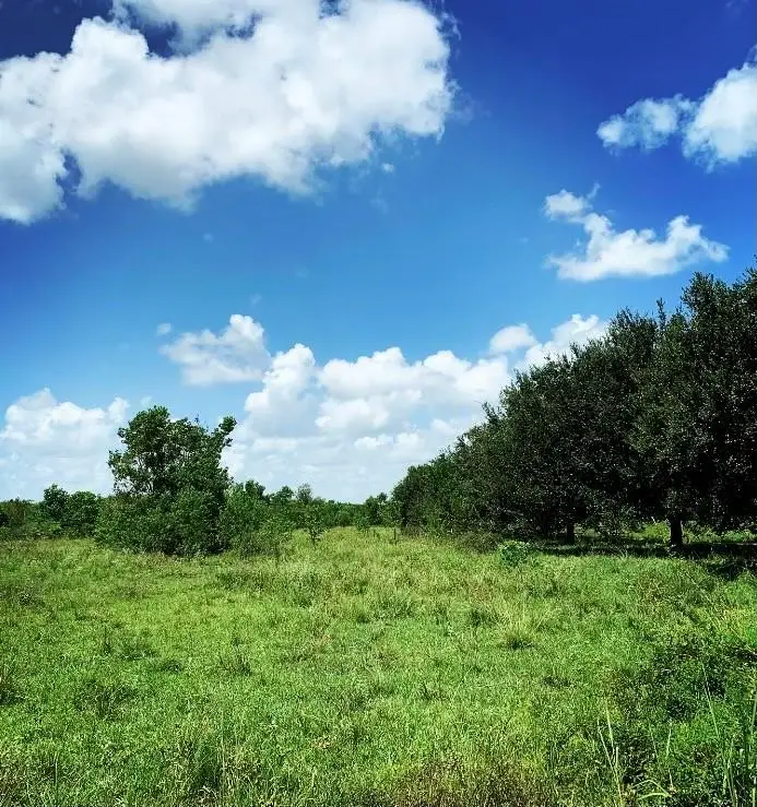 00000 Fm 1462 Rd, Brazoria West Columbia, TX 77430 - Image #3