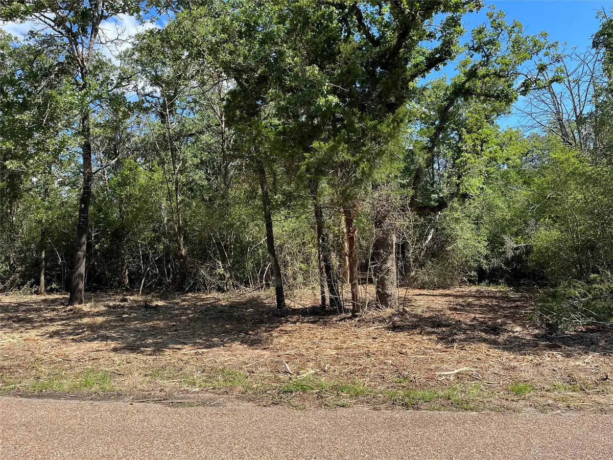 Lot 1 & 2 & 3 Old Lockhart Rd, Plum, TX 78952 - #1