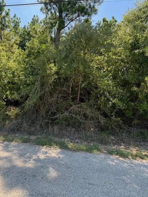 Lot 1355 N Kaupo Dr, Bastrop, TX 78602 - #1