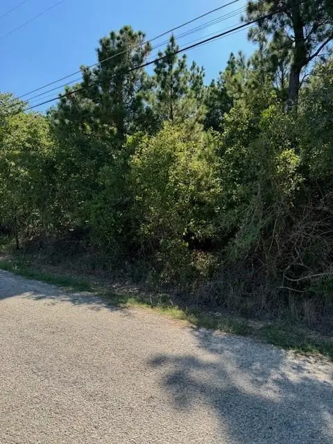 Lot 1355 N Kaupo Dr, Bastrop, TX 78602 - #2