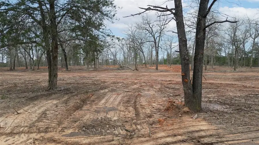 1559 Fm 535, Smithville, TX 78957 - Image #2