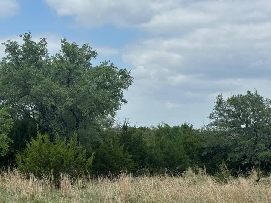 Lot 40 Maverick Way, Briggs, TX 78608 - #3