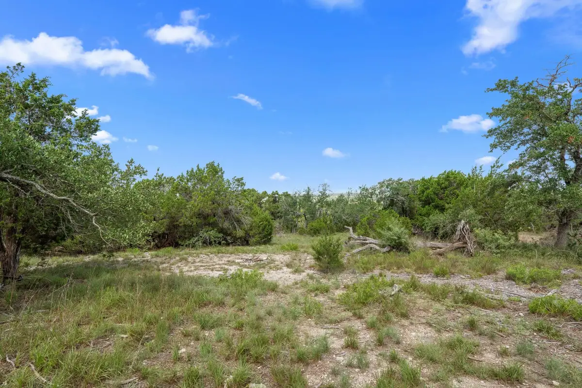 31860 Mirela Ann Rd, Dripping Springs, TX 78620 - #1