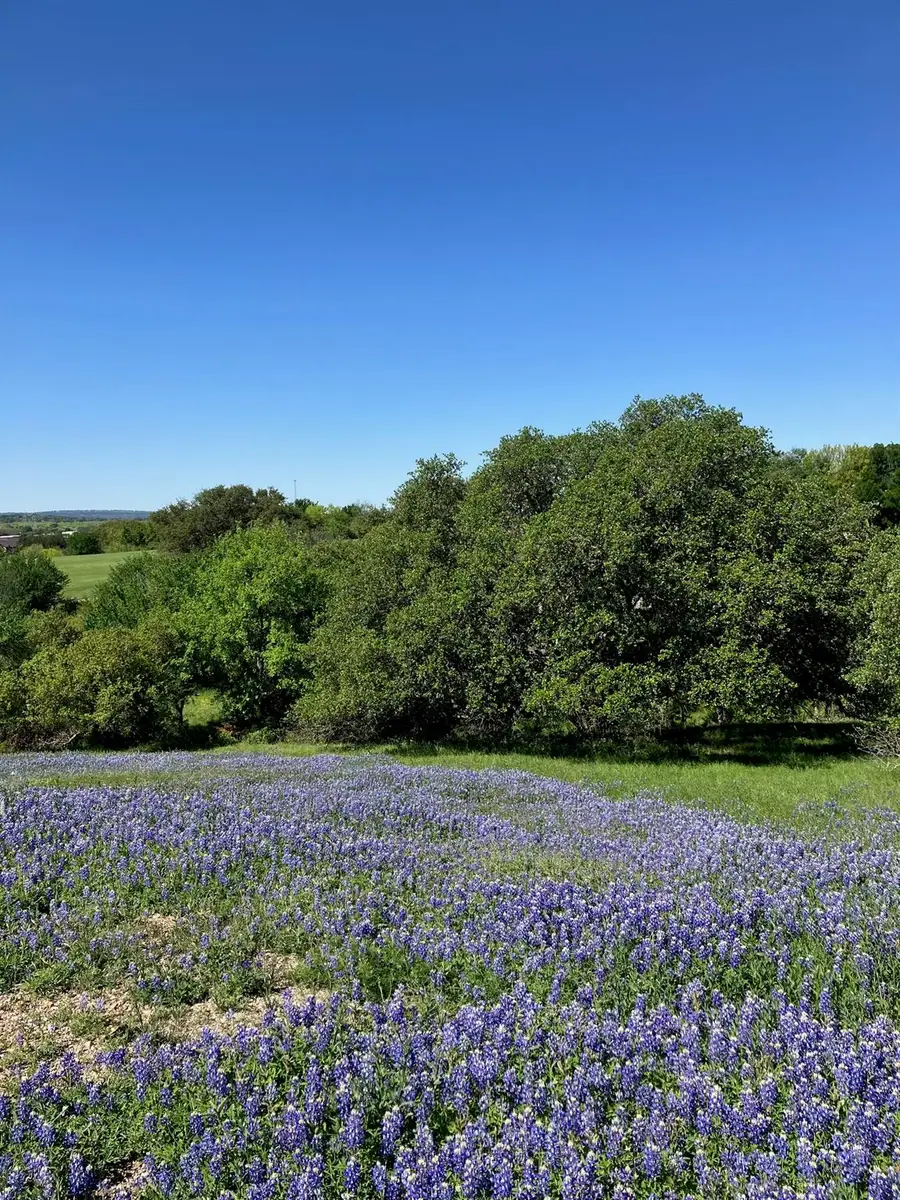 106 Ridgeway, Horseshoe Bay, TX 78657 - #2