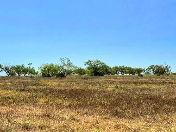 Lot 1 Us Hwy 190 Highway, Lometa, TX 78853 - #3