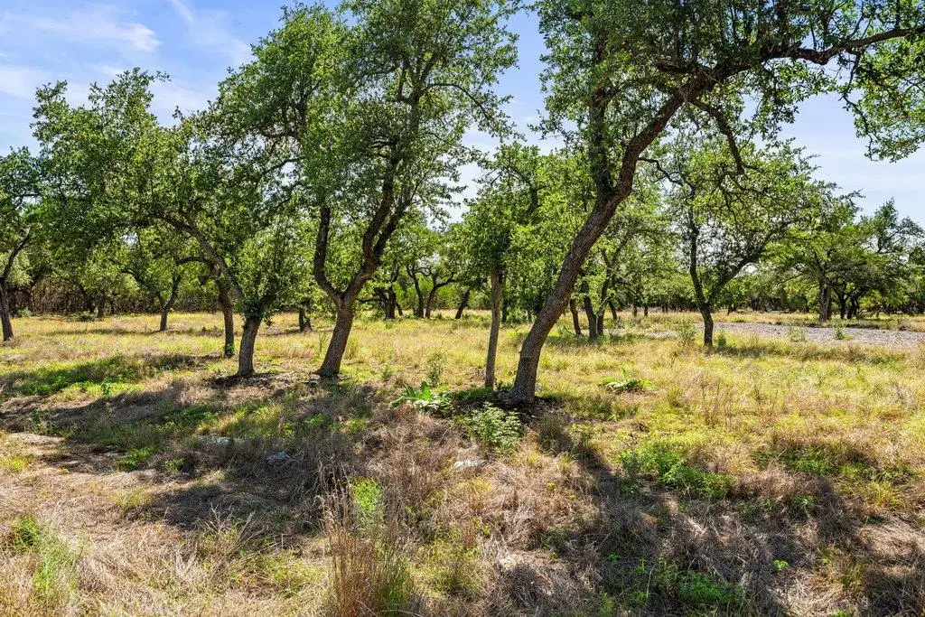 300 Stonegate Ln, Dripping Springs, TX 78620 - #1