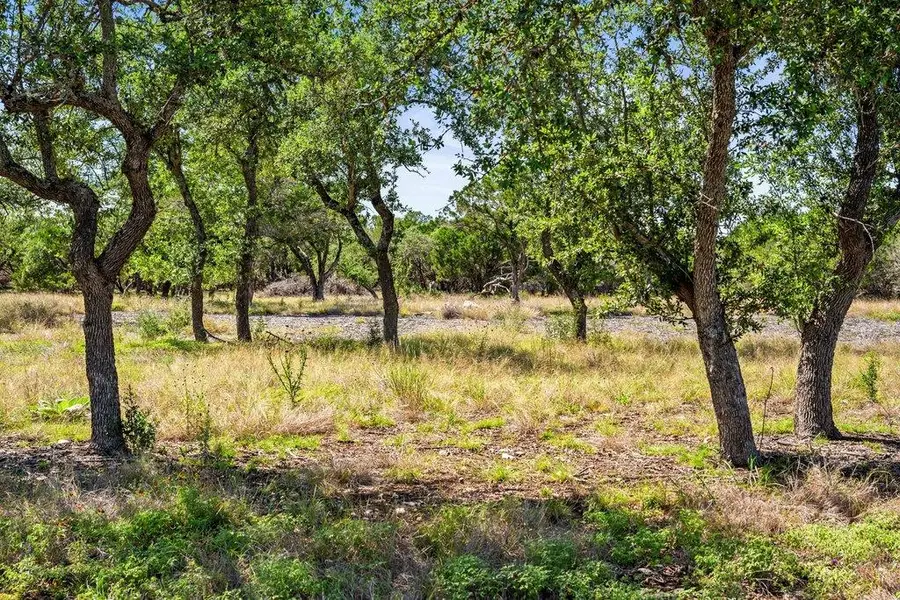 300 Stonegate Ln, Dripping Springs, TX 78620 - #2