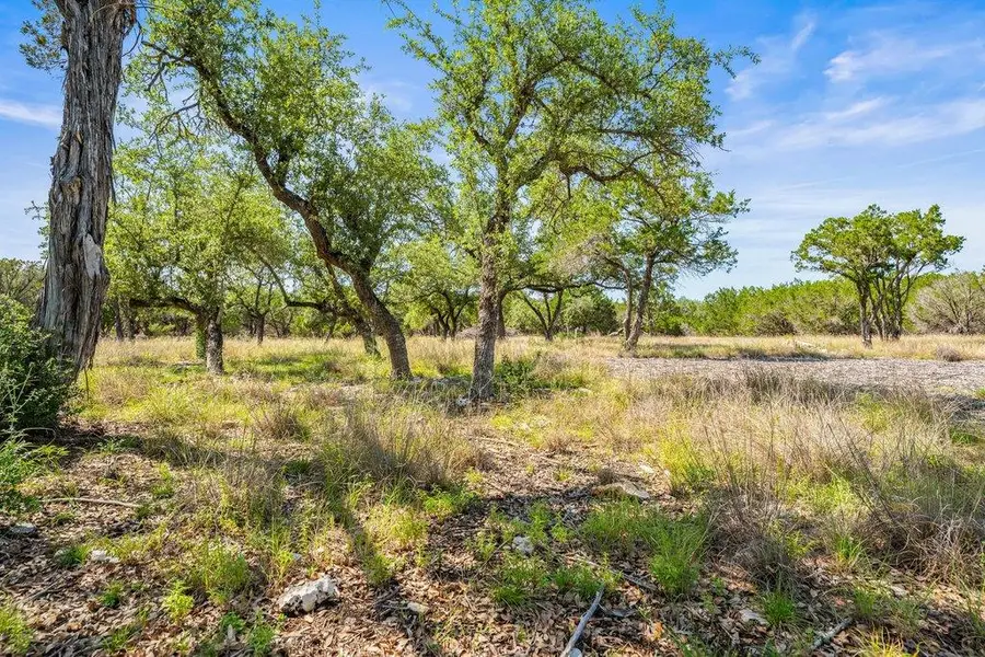 300 Stonegate Ln, Dripping Springs, TX 78620 - #3