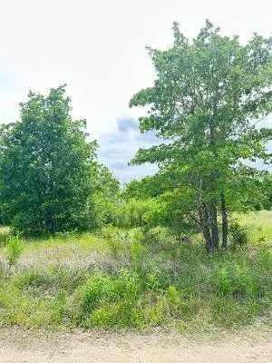 136 Wild Bird Loop, Smithville, TX 78957 - #3