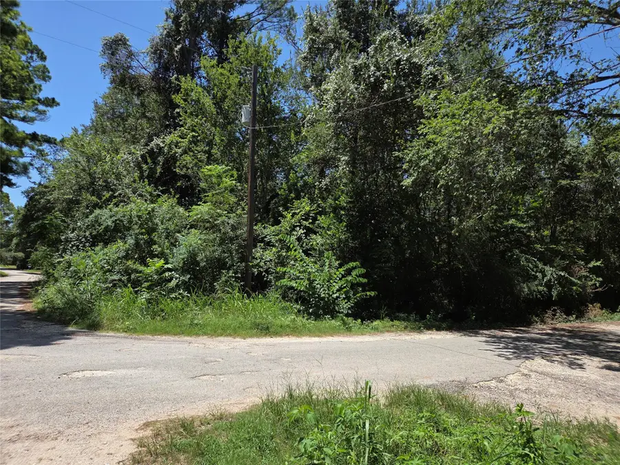 TBD Nancy / Davis St, Bastrop, TX 78602 - #2