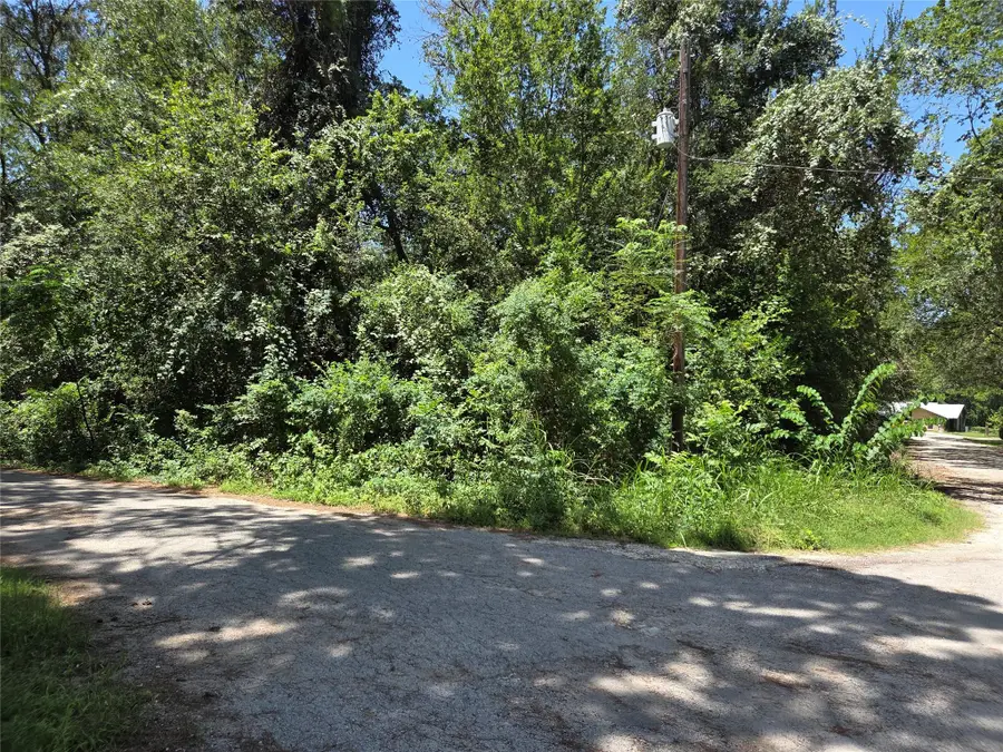TBD Nancy / Davis St, Bastrop, TX 78602 - #3