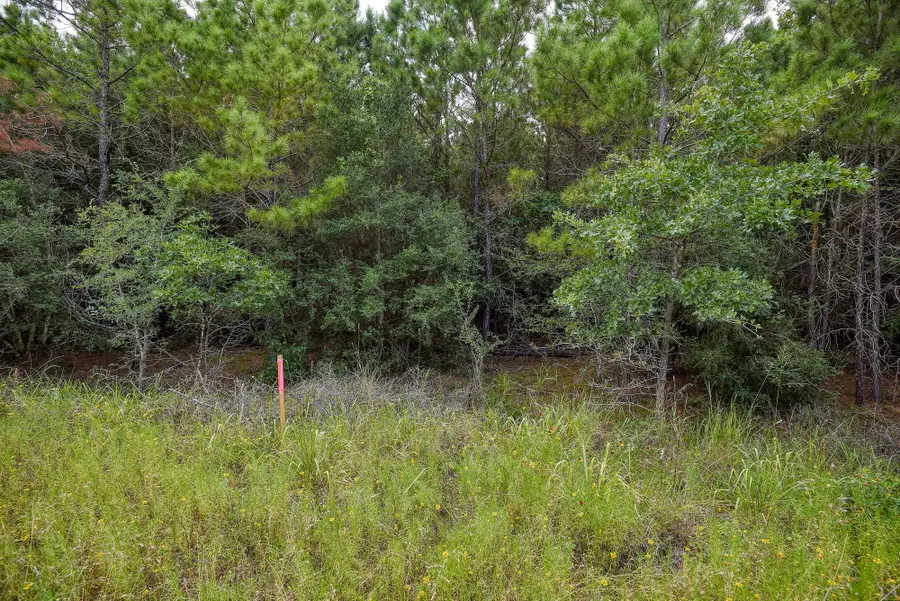 TBD Kipahulu Dr #2, Bastrop, TX 78602 - #3