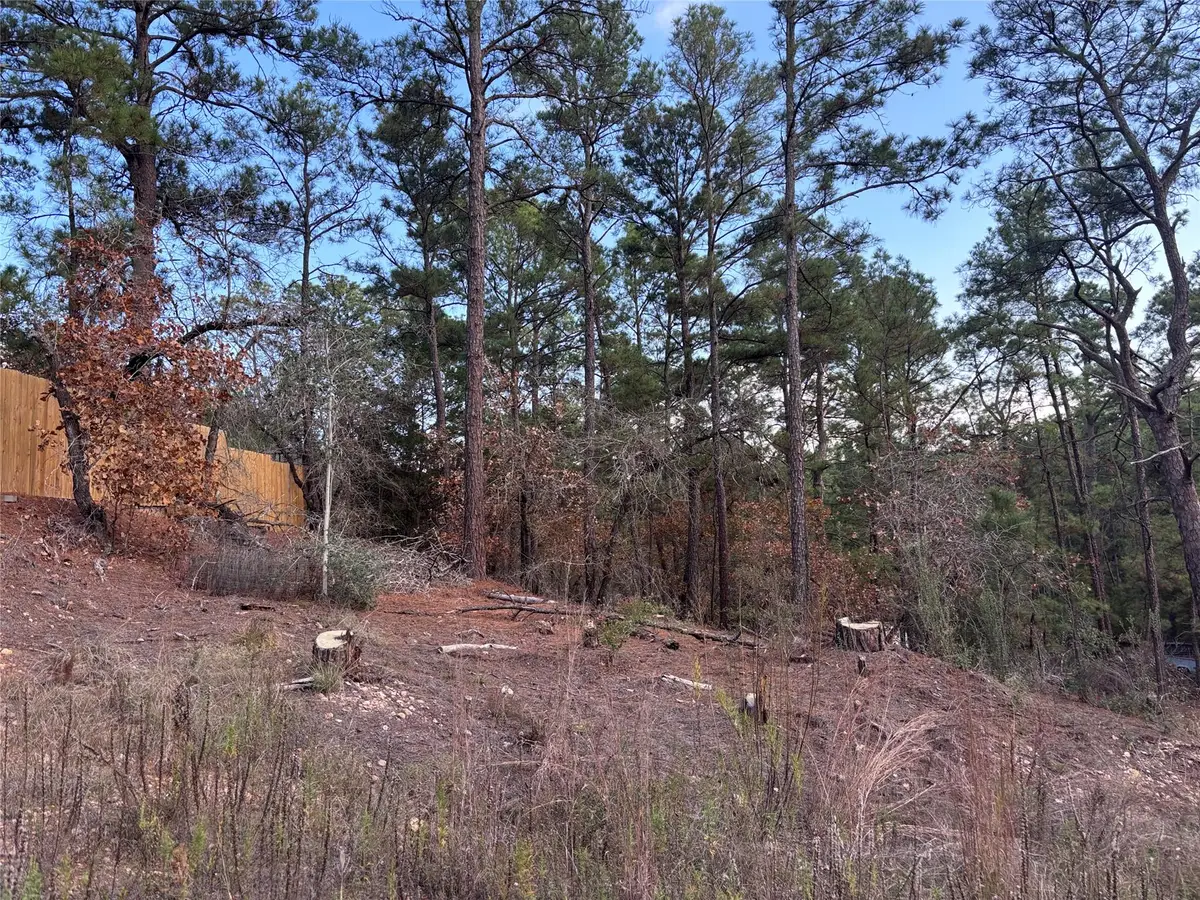 126 & 127 Grand Canyon Dr, Bastrop, TX 78602 - #1