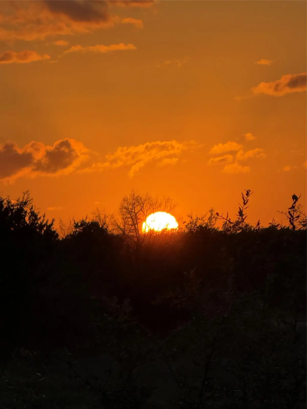 3097 C Farris Ridge Pkwy, Wimberley, TX 78676 - #1