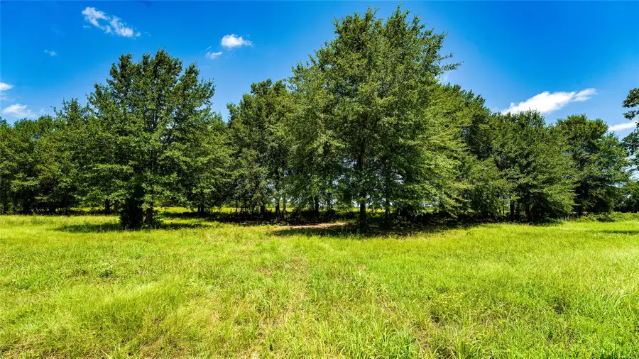 TBD Cr 357, Gause, TX 77857 - #3