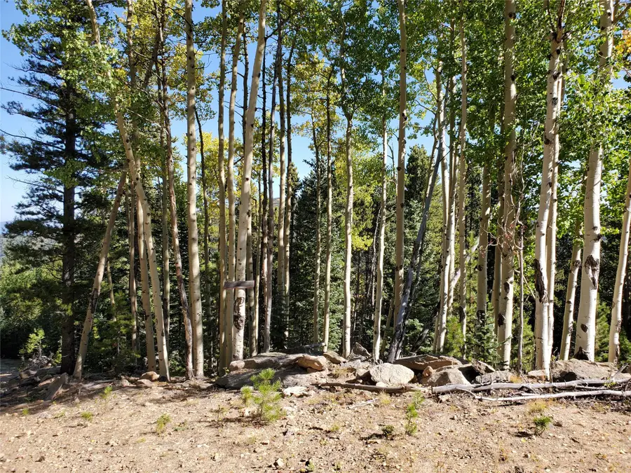 400 Long Road Rd, Blue Valley, CO 80452 - #3