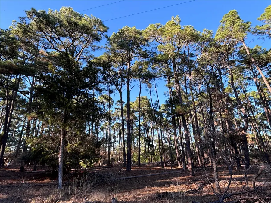 987 Stephen Ln, La Grange, TX 78945 - Image #2