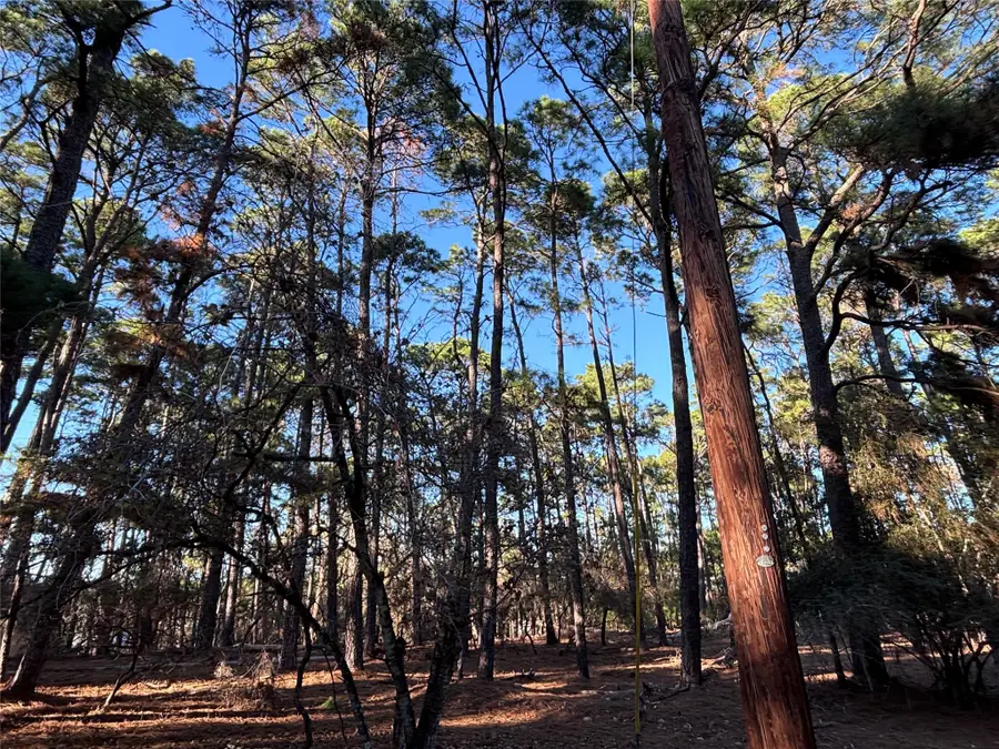 987 Stephen Ln, La Grange, TX 78945 - Image #3