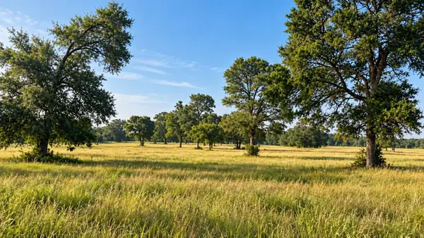 3222 Highway 21 E, Paige, TX 78659