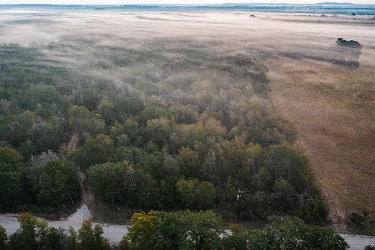 TBD St Delight Rd, Paige, TX 78659 - Image #1