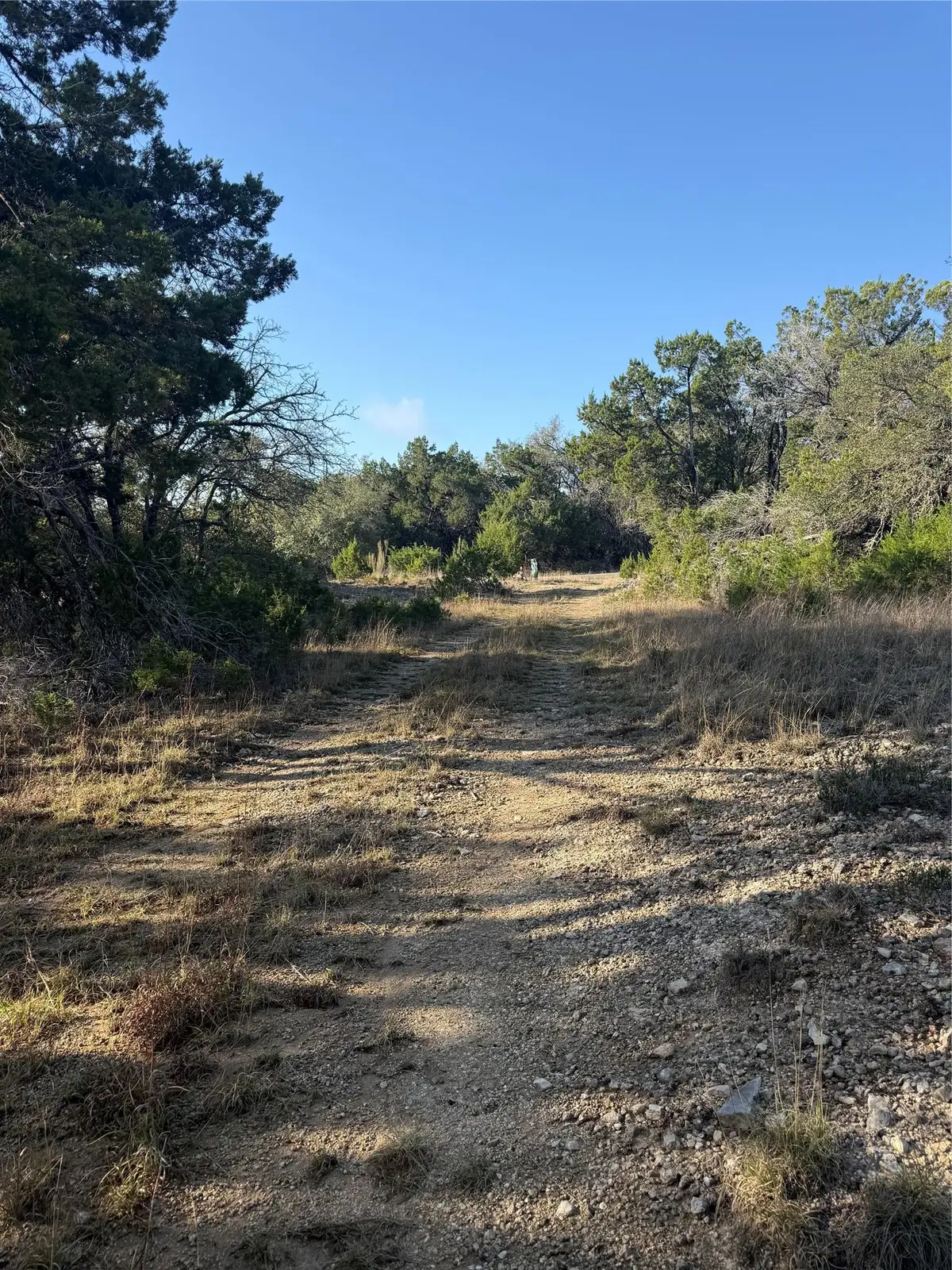 3600 Stagecoach Ranch Loop, Dripping Springs, TX 78620 - #1