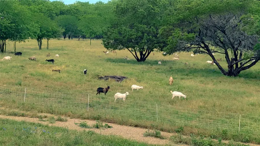 15920 Fm 107, Moody, TX 76557 - Image #2