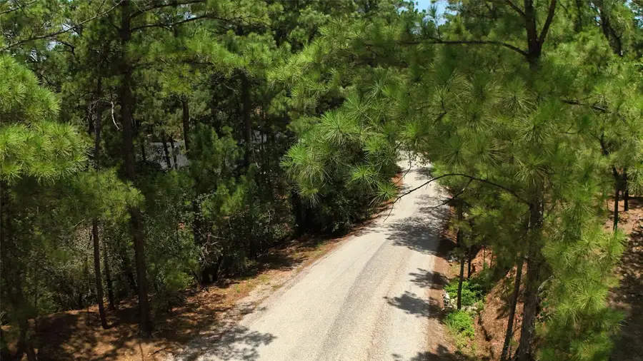 Lot 232 Hekili Dr, Bastrop, TX 78602 - #2