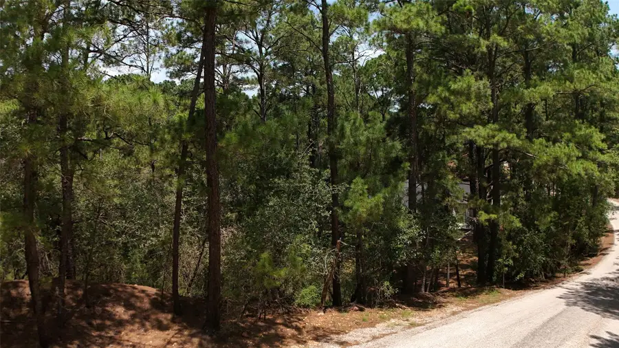 Lot 232 Hekili Dr, Bastrop, TX 78602 - #3