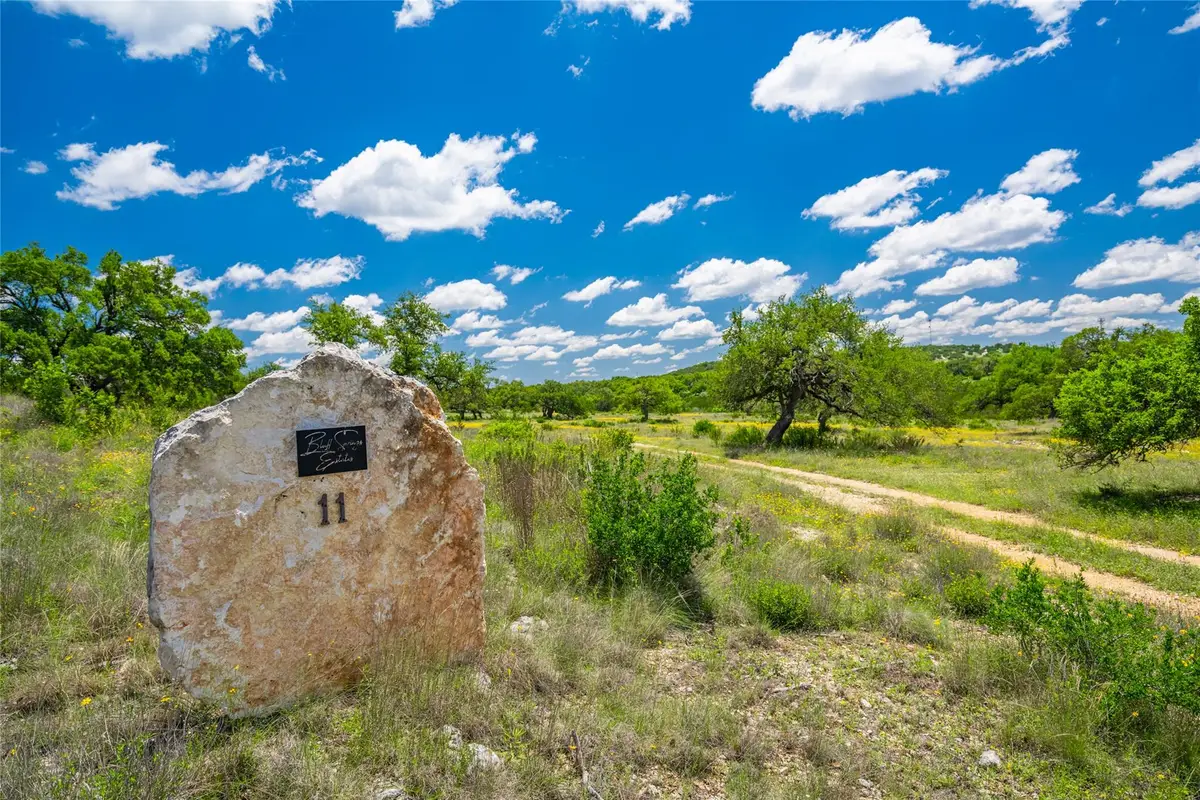 262 Cuesta Pass, Driftwood, TX 78619 - #1