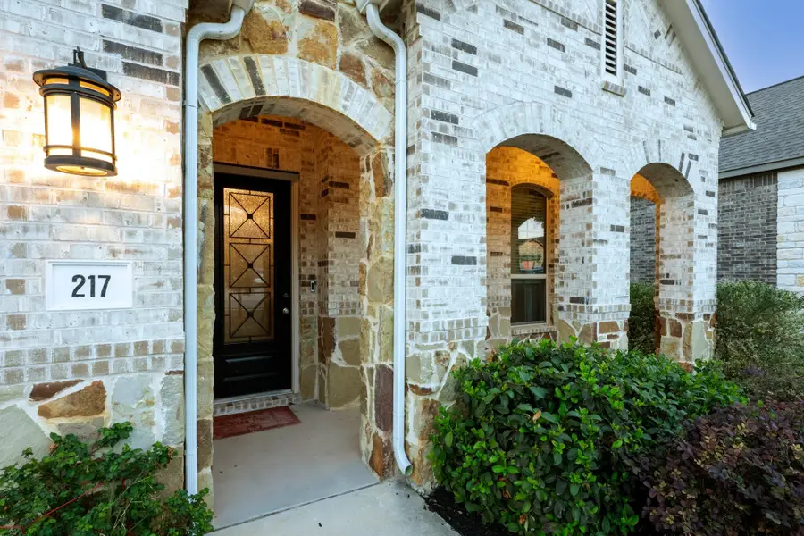 217 Mineral River Loop, Kyle, TX 78640 - #3