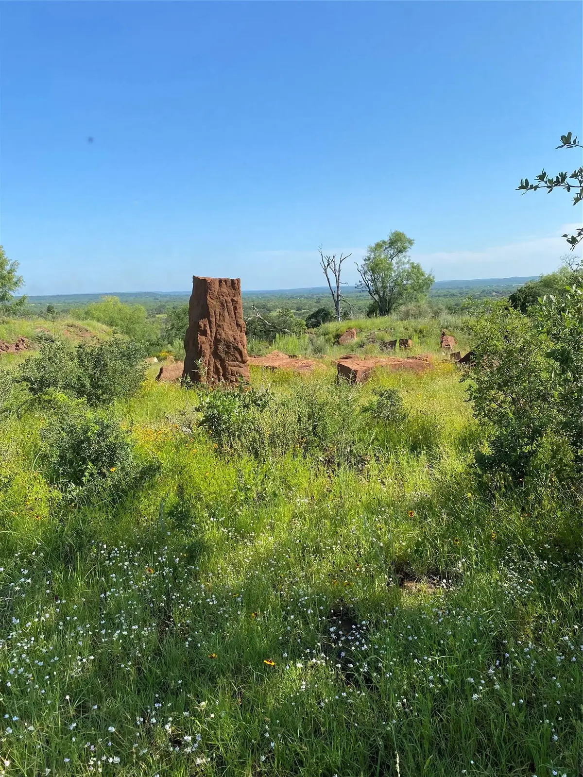 Lot 5 Art Hedwigs Hill Rd, Mason, TX 76856 - #1