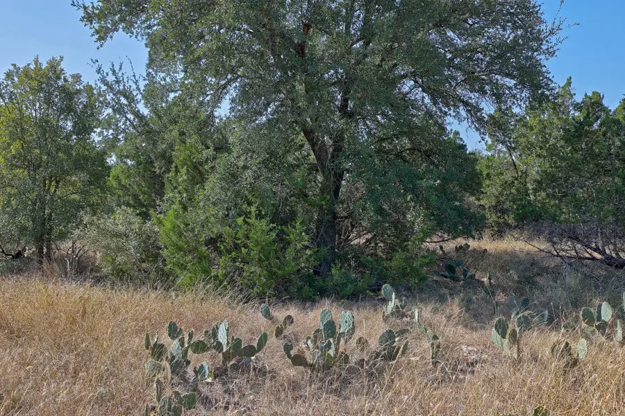 123 Appaloosa Cv, Jarrell, TX 76537 - Image #3