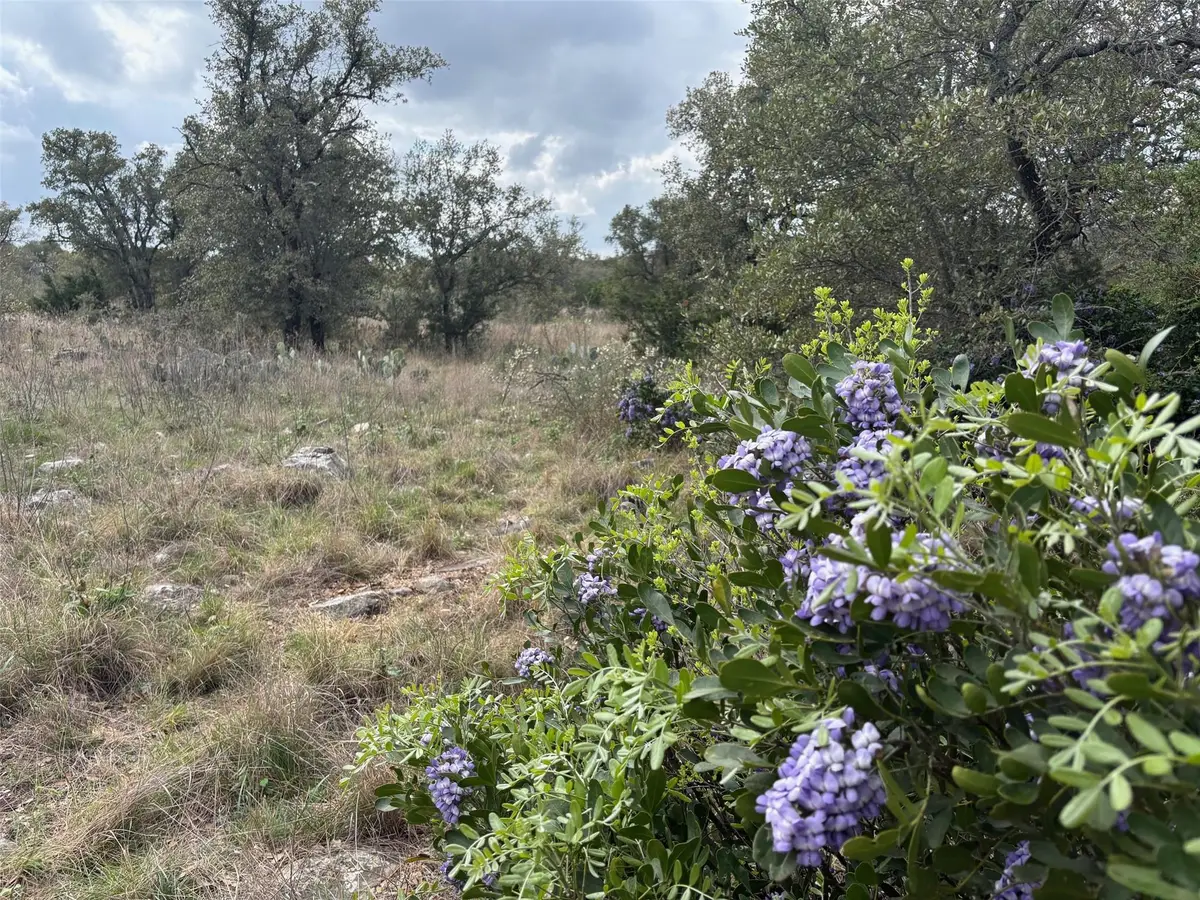 Lot 34 Eagle Feather, Kingsland, TX 78639 - #1