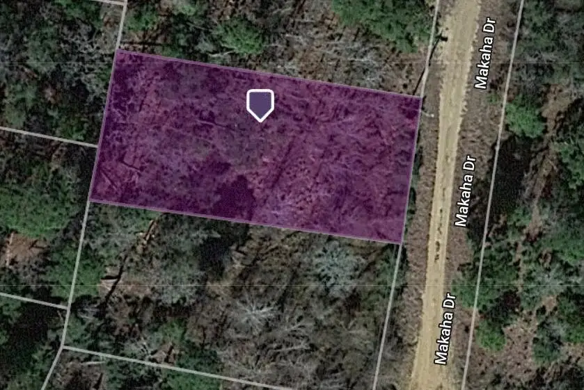 Lot 233 Makaha Dr, Bastrop, TX 78602 - Image #3