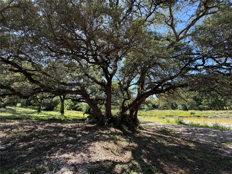 17702 Sandy Ln, Jonestown, TX 78645 - #2