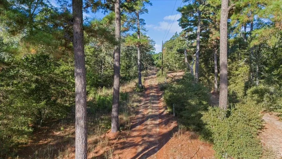 TBD Copeland Hill Rd #3, Smithville, TX 78957 - #3