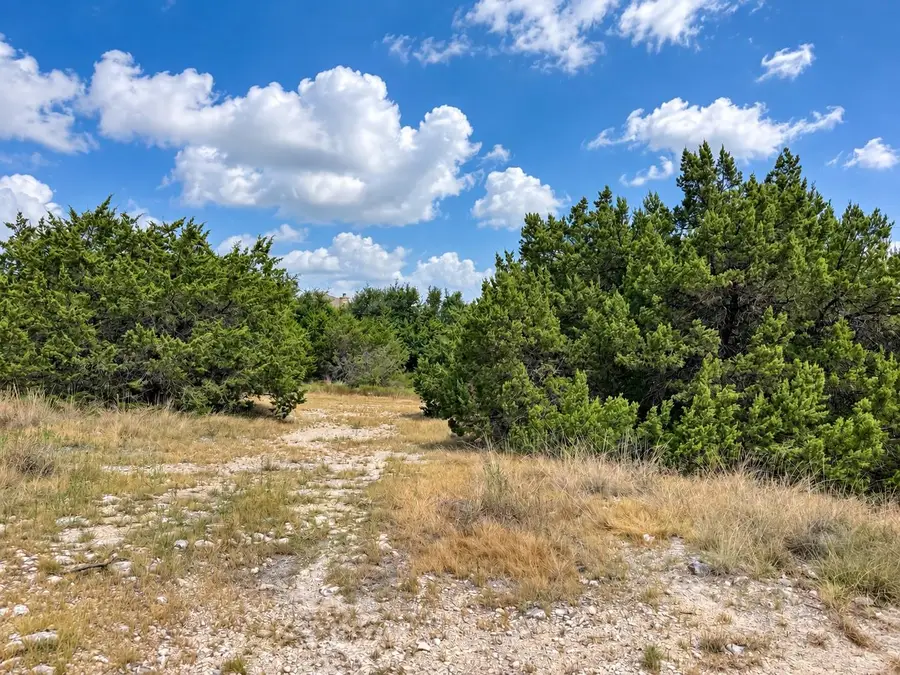 10011 Janet Loop, Dripping Springs, TX 78620 - #2