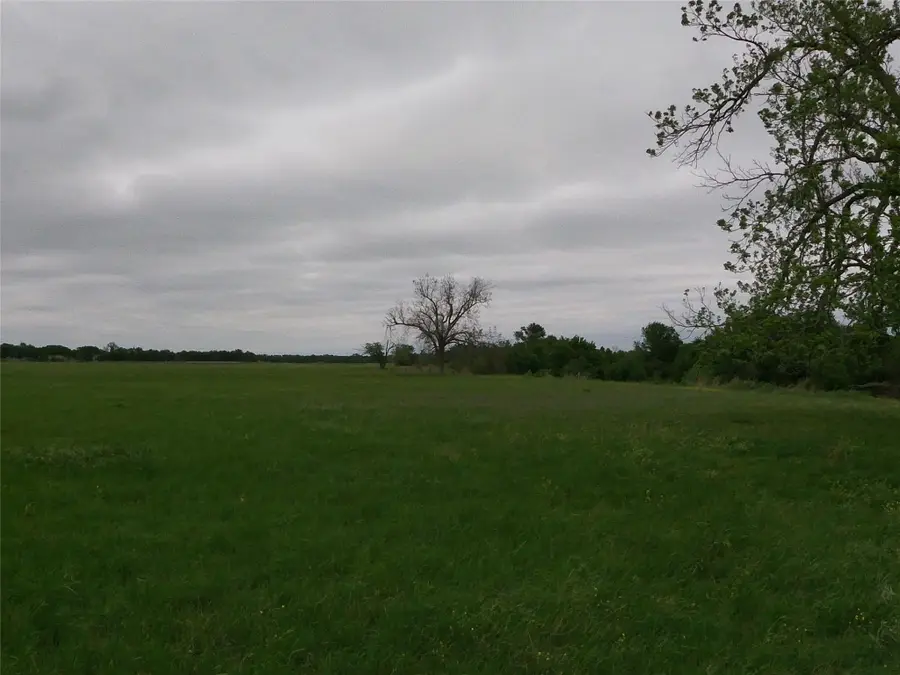 0000 Fm 112 Rd, Thrall, TX 76578 - #2