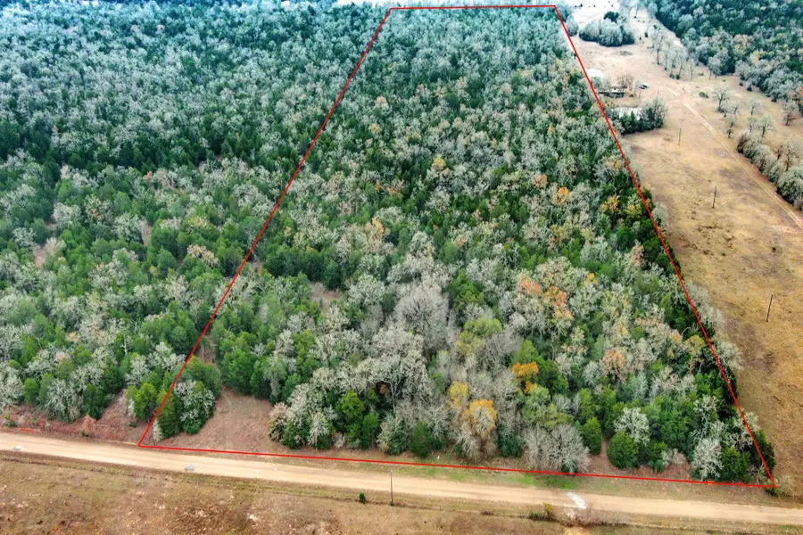 24 acres Cr 332 Rd, Paige, TX 78659 - #2