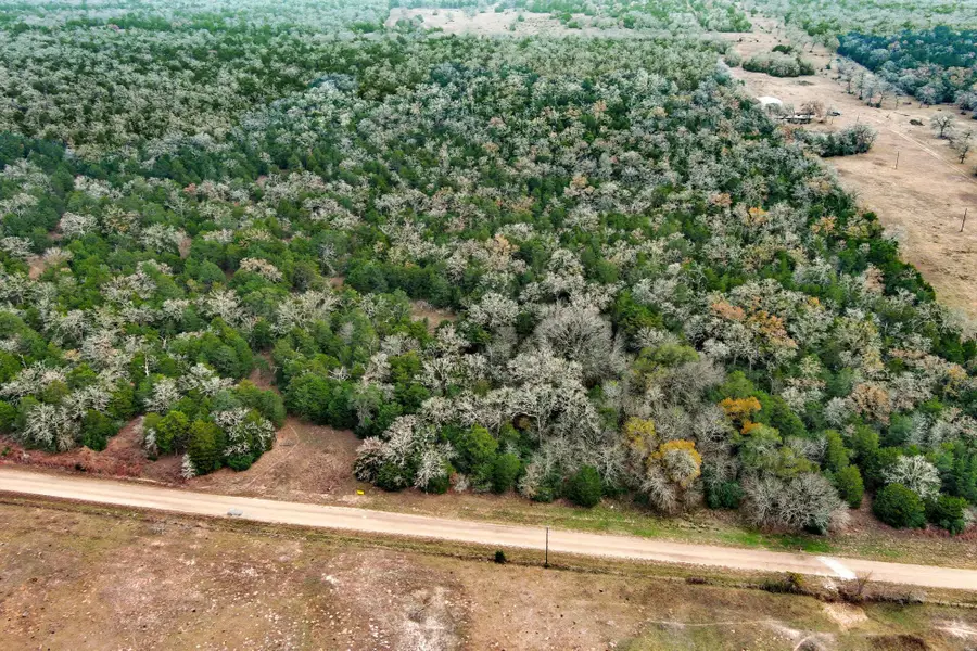 24 acres Cr 332 Rd, Paige, TX 78659 - #3