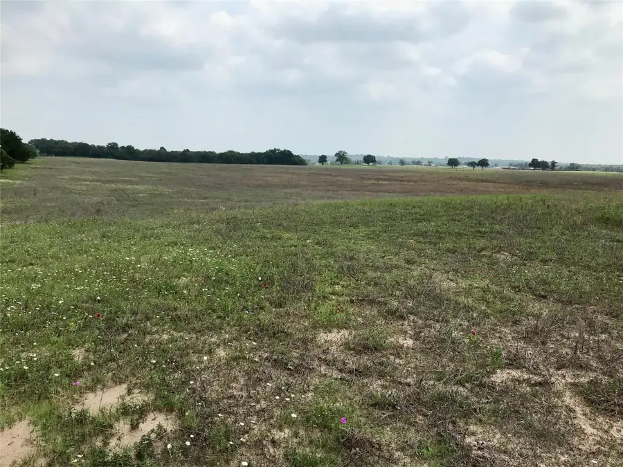 1672 Sayers Rd #Tract 1, Bastrop, TX 78602 - #2