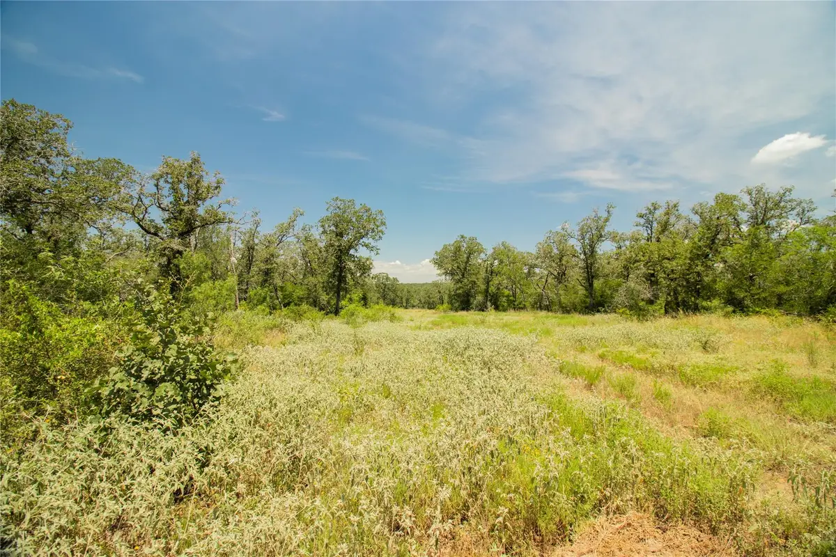 2564 Bluestem Crest Ln, Seguin, TX 78155 - #1