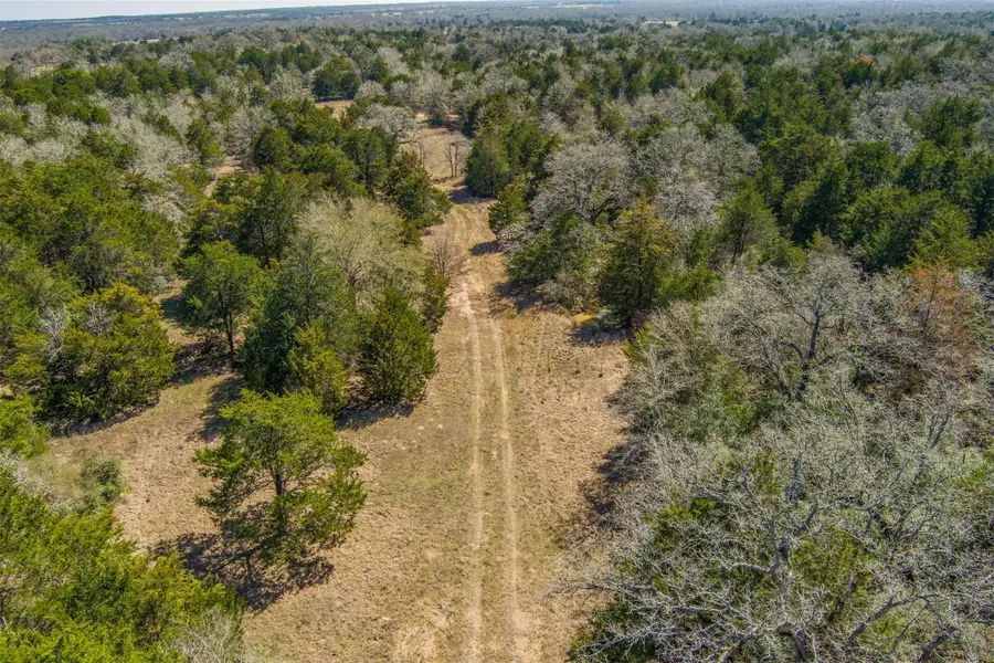TBD Edgewood Trl, Paige, TX 78659 - Image #3