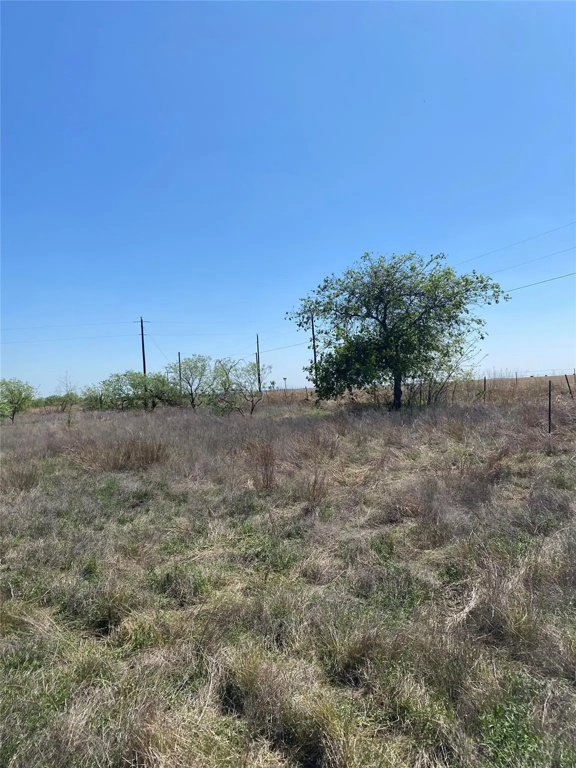 1536 County Road 3545 Rd, Clifton, TX 76634 - #1