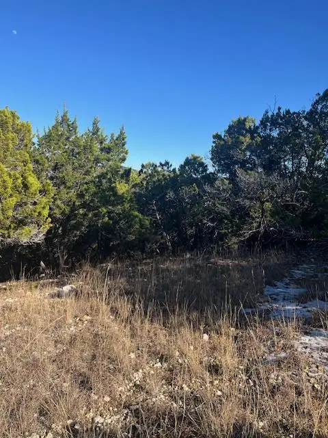 201 Assiniboia Dr, Canyon Lake, TX 78133 - Image #2