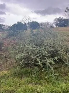 W25005 Apache Tears, Horseshoe Bay, TX 78657 - #3