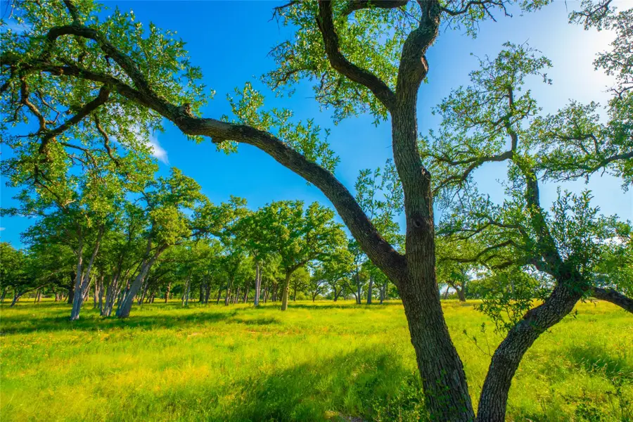 0 Rocky Creek Rnch, Johnson City, TX 78636 - #2