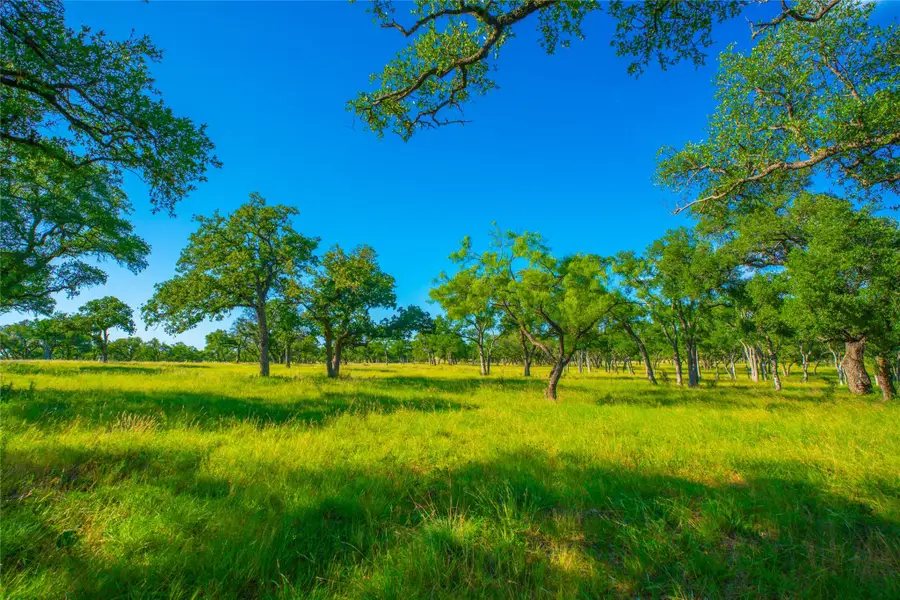 0 Rocky Creek Rnch, Johnson City, TX 78636 - #3